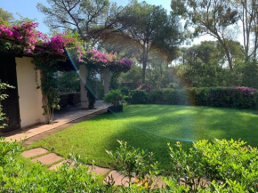 Villa Renata